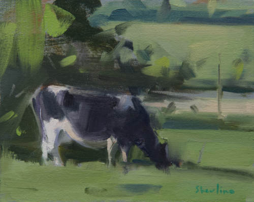 Cow